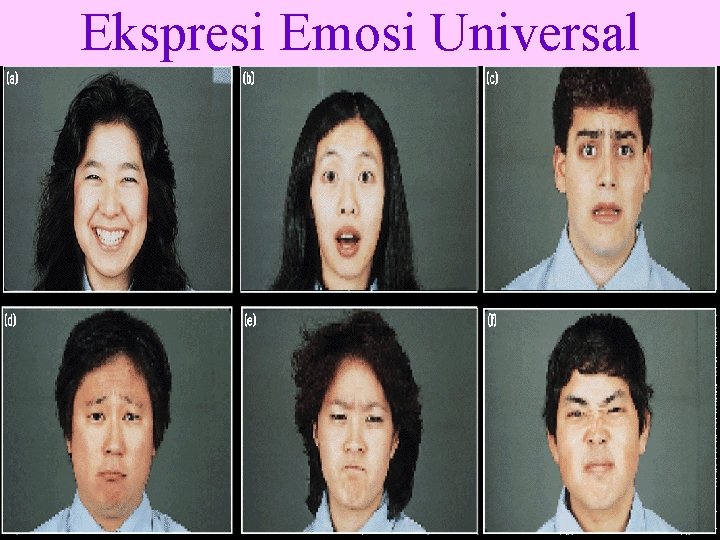 Ekspresi Emosi Universal 