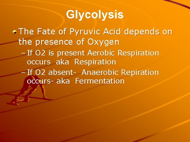 Glycolysis The Fate of Pyruvic Acid depends on the presence of Oxygen – If