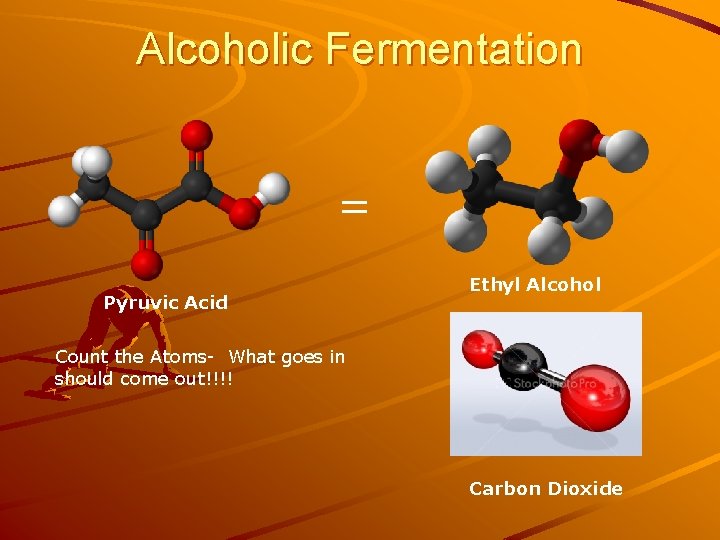 Alcoholic Fermentation = Pyruvic Acid Ethyl Alcohol Count the Atoms- What goes in should