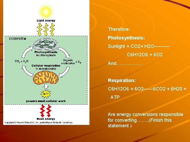 Therefore. Photosynthesis: Sunlight + CO 2+ H 2 O-----C 6 H 12 O 6