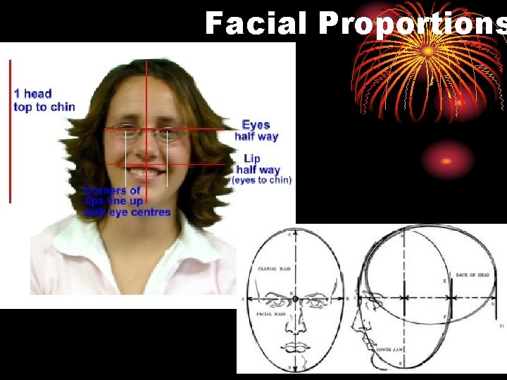 Facial Proportions 