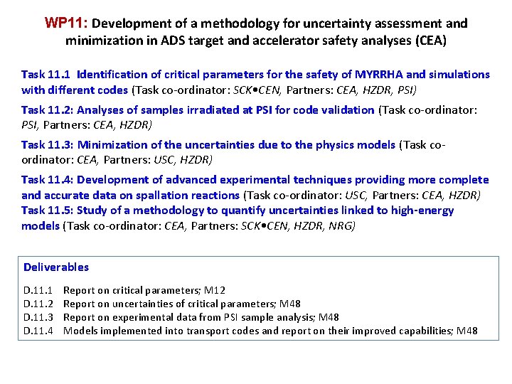 WP 11: Development of a methodology for uncertainty assessment and minimization in ADS target