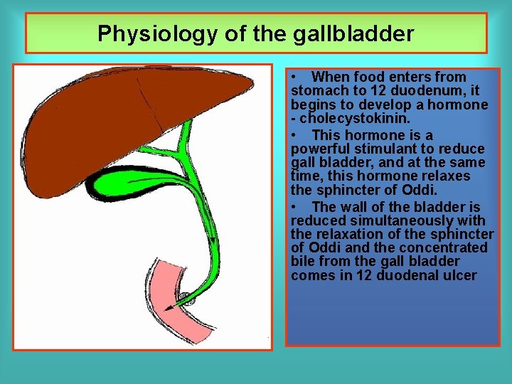 Physiology of the gallbladder • When food enters from stomach to 12 duodenum, it