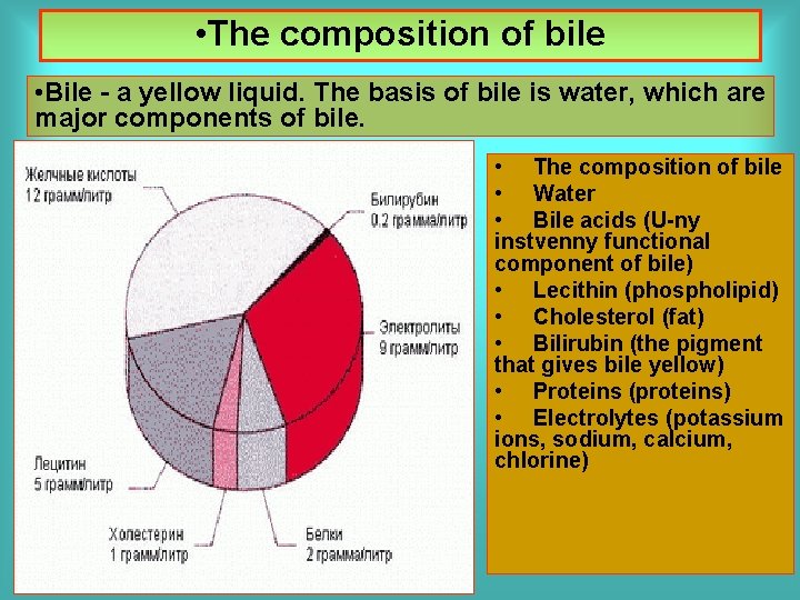  • The composition of bile • Bile - a yellow liquid. The basis