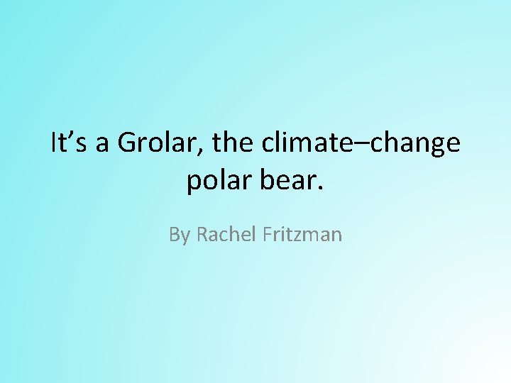 It’s a Grolar, the climate–change polar bear. By Rachel Fritzman 