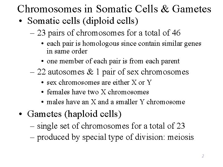 Chromosomes in Somatic Cells & Gametes • Somatic cells (diploid cells) – 23 pairs