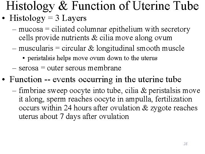 Histology & Function of Uterine Tube • Histology = 3 Layers – mucosa =