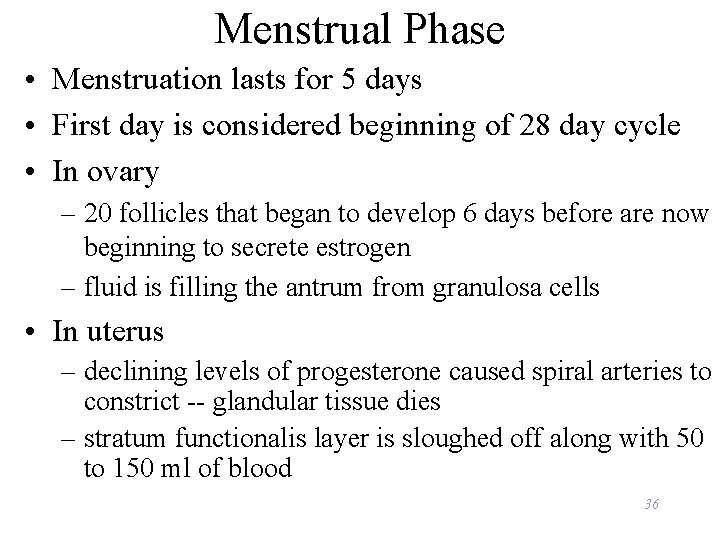 Menstrual Phase • Menstruation lasts for 5 days • First day is considered beginning