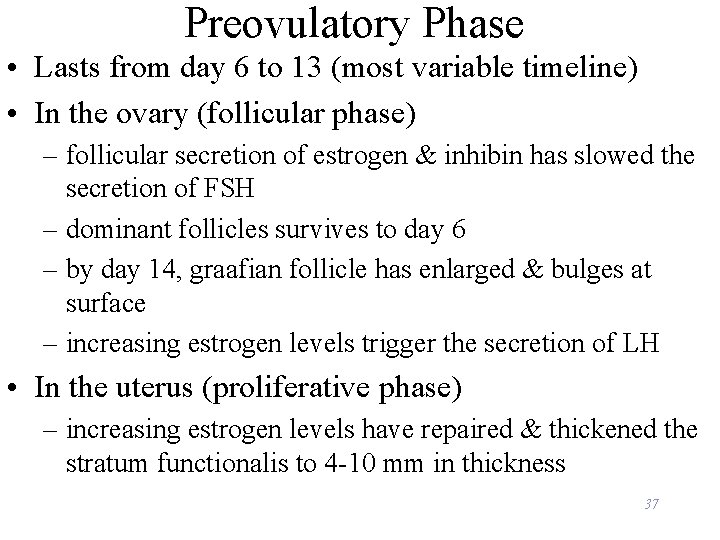 Preovulatory Phase • Lasts from day 6 to 13 (most variable timeline) • In