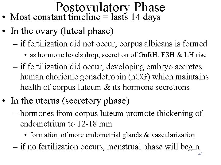 Postovulatory Phase • Most constant timeline = lasts 14 days • In the ovary