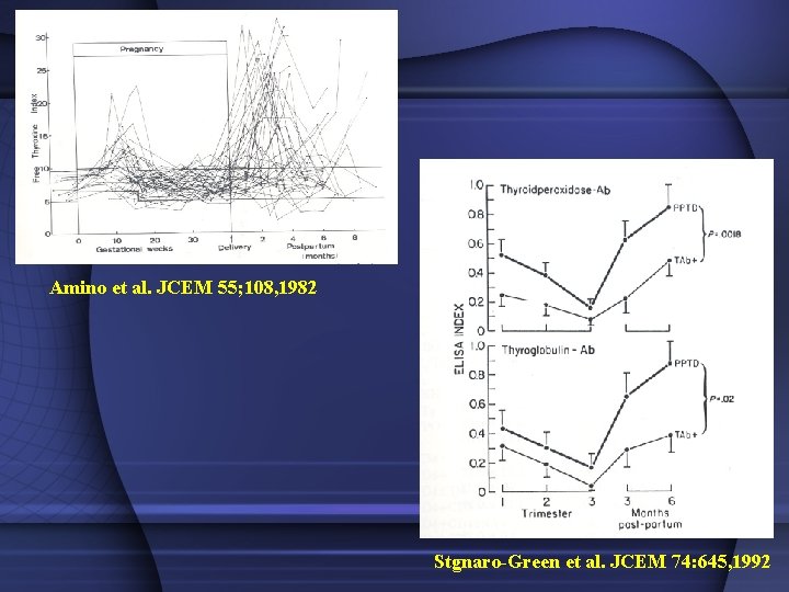 Amino et al. JCEM 55; 108, 1982 Stgnaro-Green et al. JCEM 74: 645, 1992