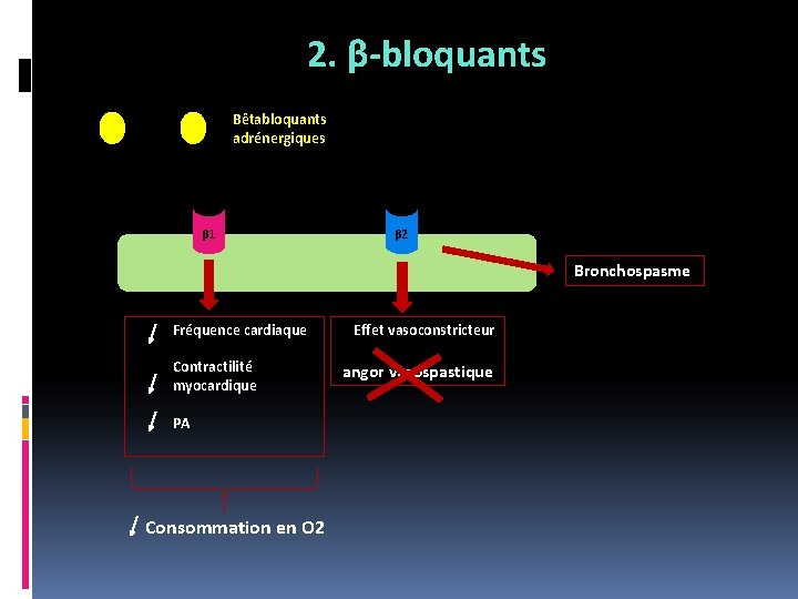 2. β-bloquants Bêtabloquants adrénergiques β 1 β 2 Bronchospasme Fréquence cardiaque Contractilité myocardique PA