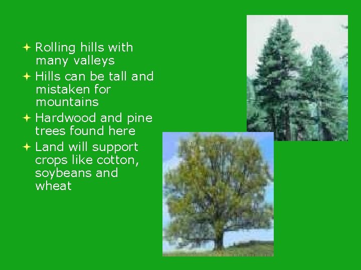 Rolling hills with many valleys Hills can be tall and mistaken for mountains Rolling hills with many valleys Hills can be tall and mistaken for mountains