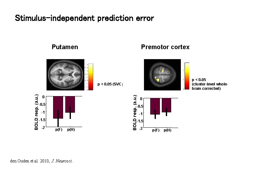 Stimulus-independent prediction error Putamen Premotor cortex p < 0. 05 (cluster-level wholebrain corrected) 0