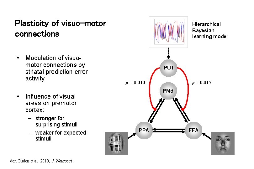 Plasticity of visuo-motor connections • Modulation of visuomotor connections by striatal prediction error activity