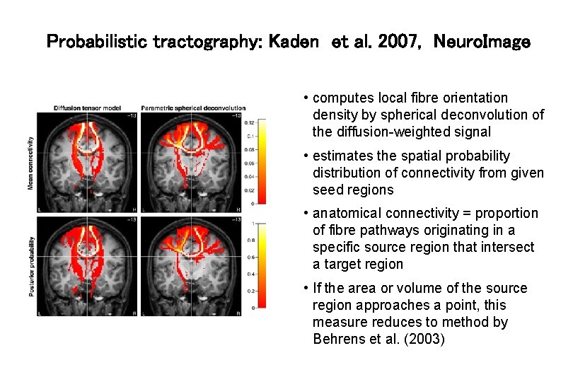 Probabilistic tractography: Kaden et al. 2007, Neuro. Image • computes local fibre orientation density