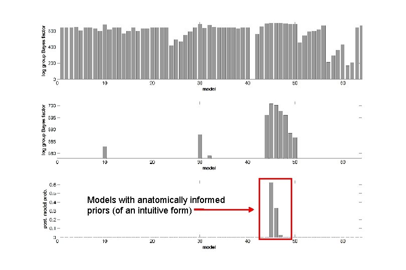 Models with anatomically informed priors (of an intuitive form) 