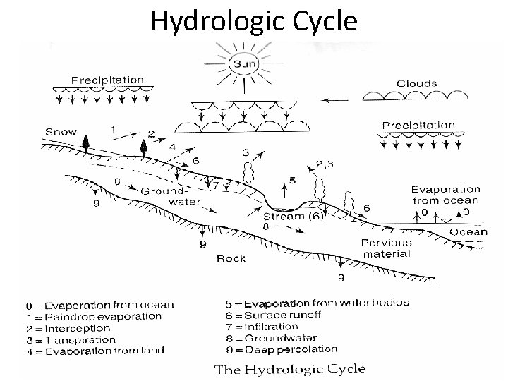 Hydrologic Cycle 