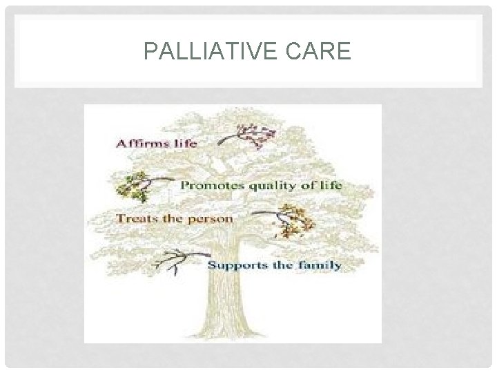 PALLIATIVE CARE 