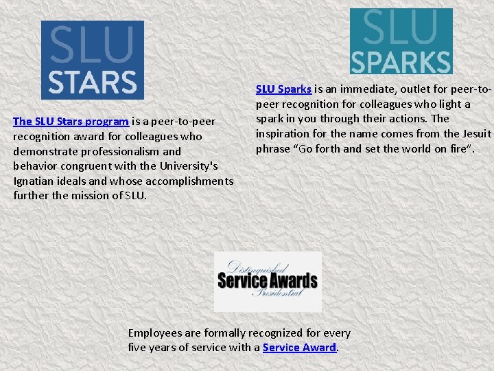 The SLU Stars program is a peer-to-peer recognition award for colleagues who demonstrate professionalism