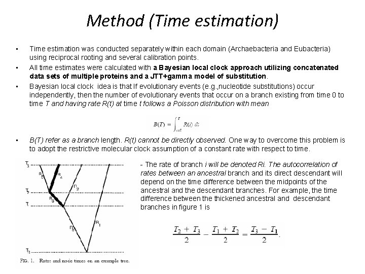 Method (Time estimation) • • Time estimation was conducted separately within each domain (Archaebacteria