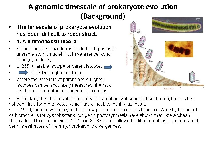 A genomic timescale of prokaryote evolution (Background) • The timescale of prokaryote evolution has