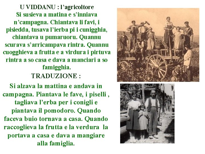 U VIDDANU : l’agricoltore Si susieva a matina e s’inniava n’campagna. Chiantava li favi, U VIDDANU : l’agricoltore Si susieva a matina e s’inniava n’campagna. Chiantava li favi,