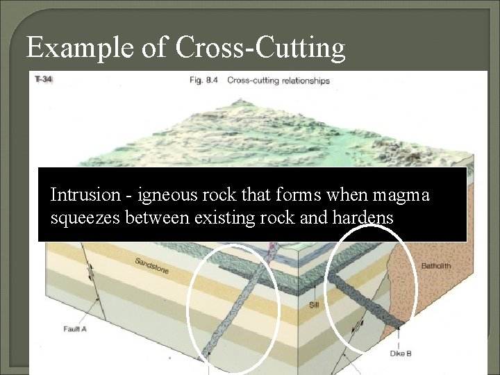 Example of Cross-Cutting Intrusion- igneousrockthatformswhenmagma squeezesbetweenexistingrockand andhardens 