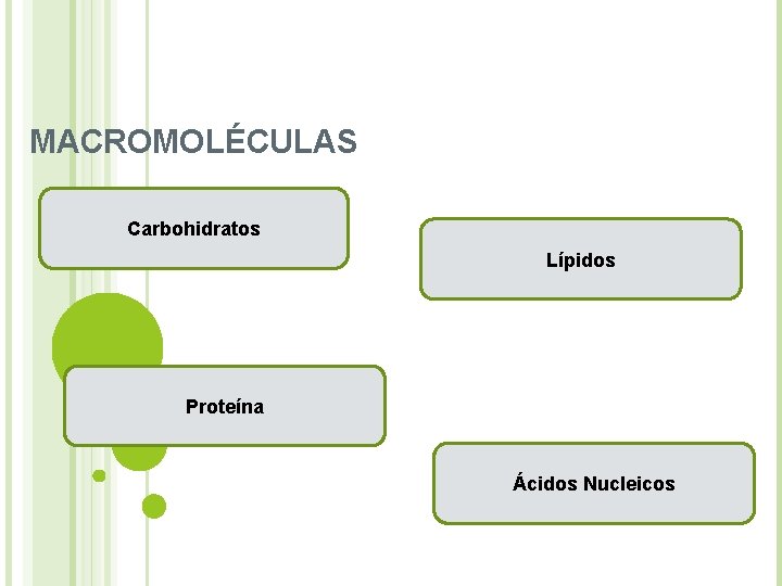 MACROMOLÉCULAS Carbohidratos Lípidos Proteína Ácidos Nucleicos MACROMOLÉCULAS Carbohidratos Lípidos Proteína Ácidos Nucleicos