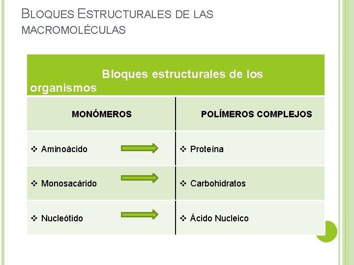 BLOQUES ESTRUCTURALES DE LAS MACROMOLÉCULAS Bloques estructurales de los organismos MONÓMEROS POLÍMEROS COMPLEJOS v