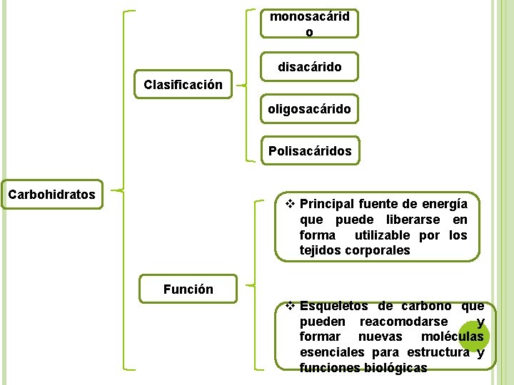 monosacárid o disacárido Clasificación oligosacárido Polisacáridos Carbohidratos v Principal fuente de energía que puede