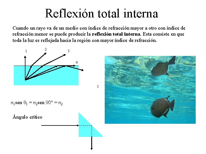 Reflexión total interna Cuando un rayo va de un medio con índice de refracción