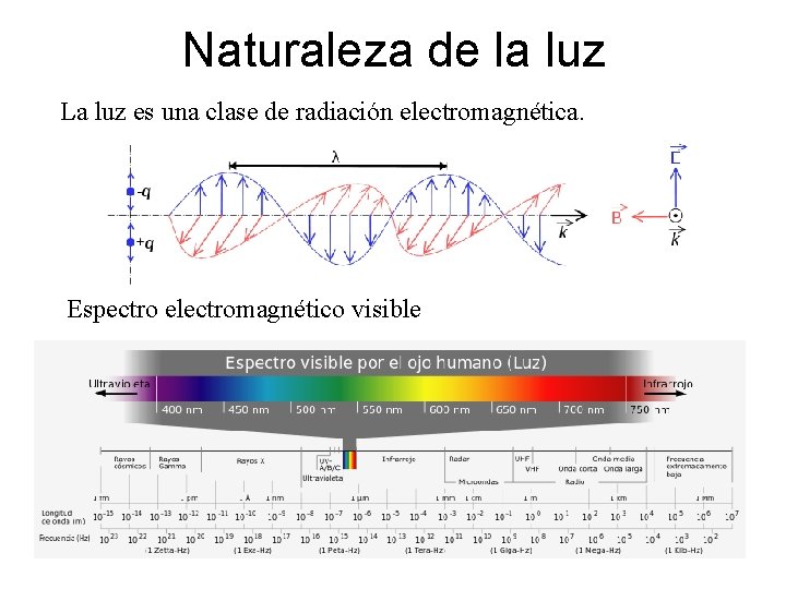 Naturaleza de la luz La luz es una clase de radiación electromagnética. Espectro electromagnético