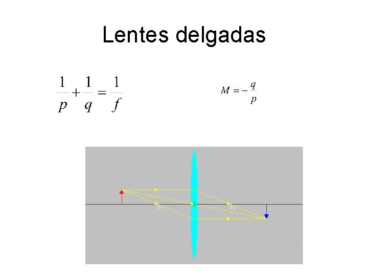 Lentes delgadas 
