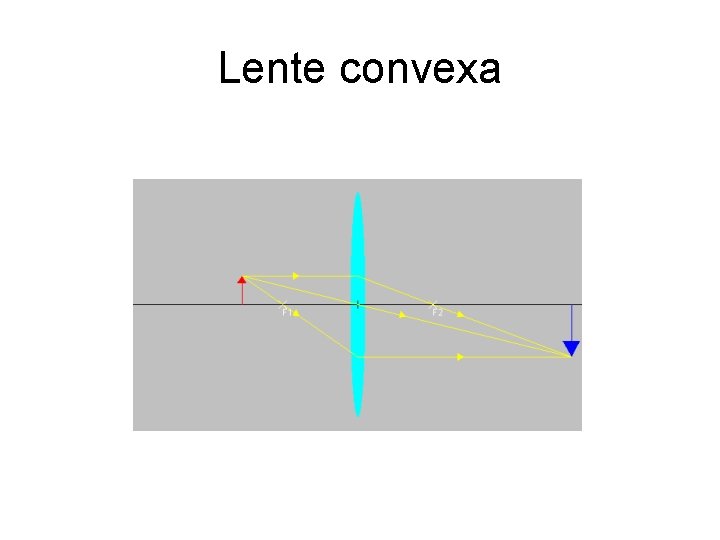 Lente convexa 