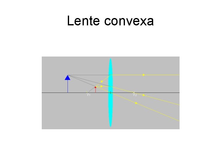 Lente convexa 