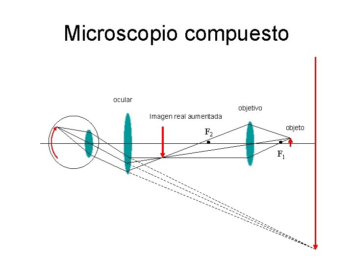 Microscopio compuesto ocular objetivo Imagen real aumentada objeto F 2 F 1 