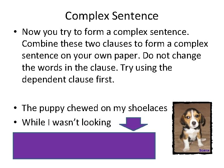 Complex Sentence • Now you try to form a complex sentence. Combine these two