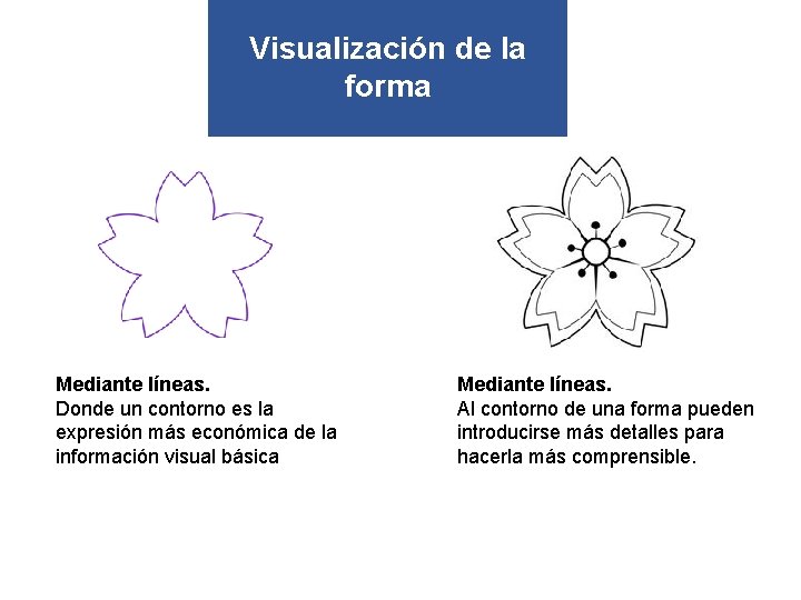 Visualización de la forma Mediante líneas. Donde un contorno es la expresión más económica