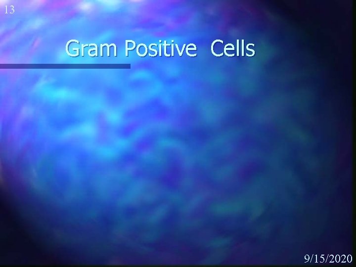 13 Gram Positive Cells 9/15/2020 