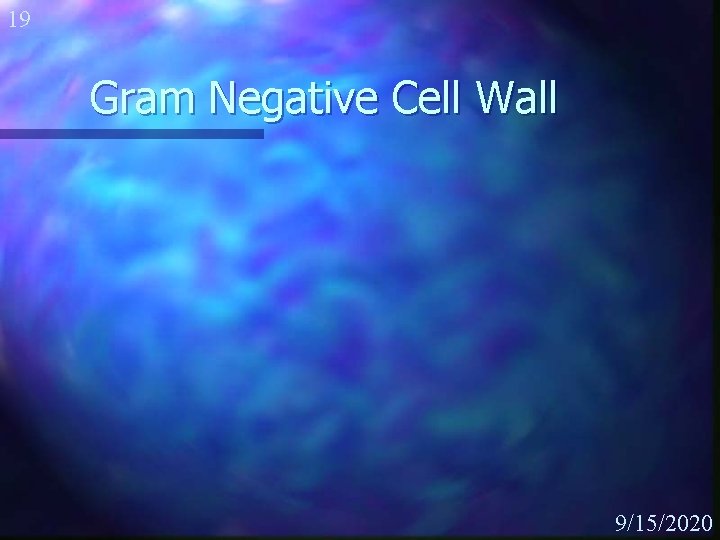 19 Gram Negative Cell Wall 9/15/2020 