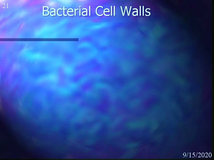 21 Bacterial Cell Walls 9/15/2020 