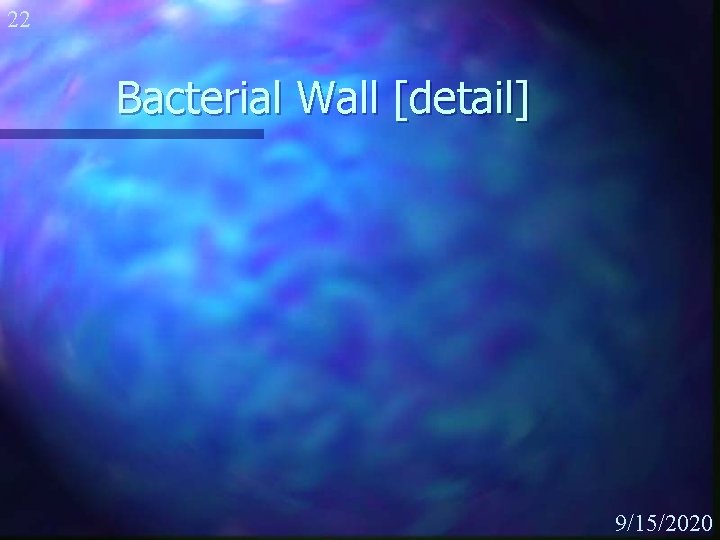 22 Bacterial Wall [detail] 9/15/2020 