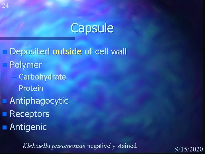 24 Capsule Deposited outside of cell wall n Polymer n – Carbohydrate – Protein