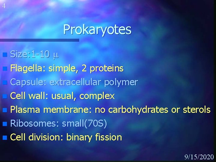 4 Prokaryotes Size: 1 -10 m n Flagella: simple, 2 proteins n Capsule: extracellular