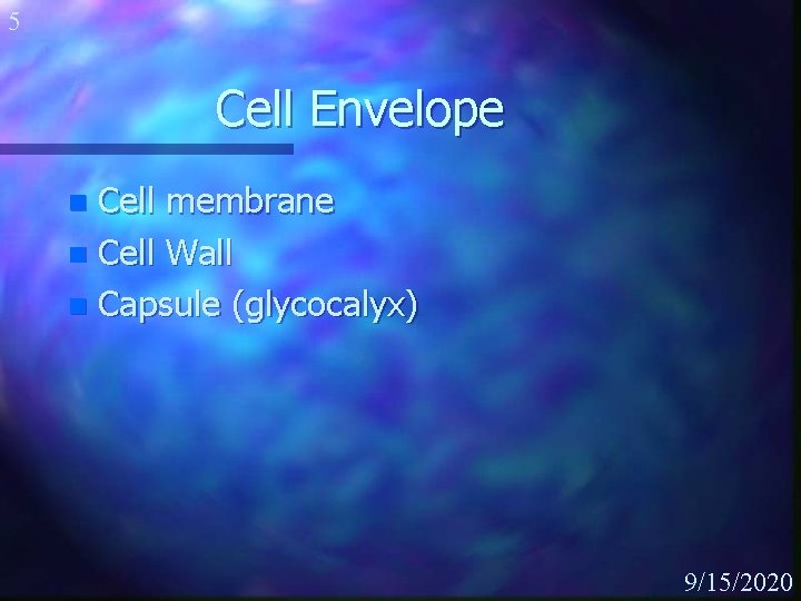 5 Cell Envelope Cell membrane n Cell Wall n Capsule (glycocalyx) n 9/15/2020 