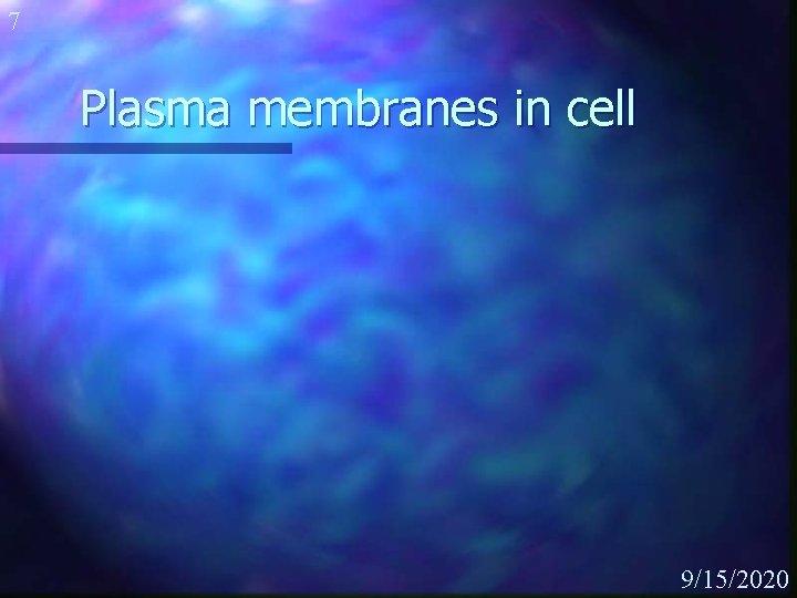 7 Plasma membranes in cell 9/15/2020 