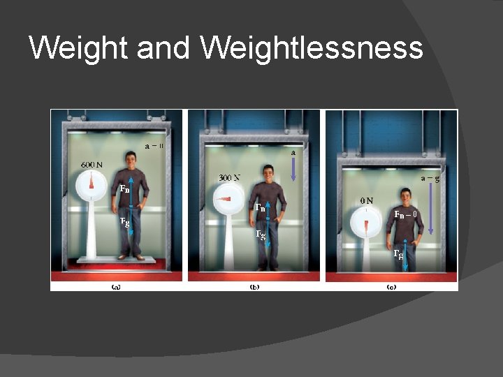 Weight and Weightlessness 