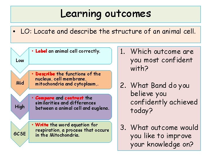 Learning outcomes • LO: Locate and describe the structure of an animal cell. •