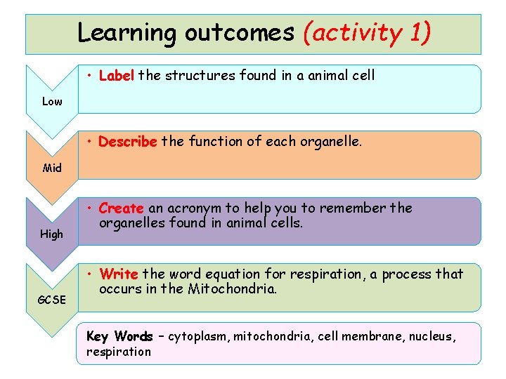 Learning outcomes (activity 1) • Label the structures found in a animal cell Low